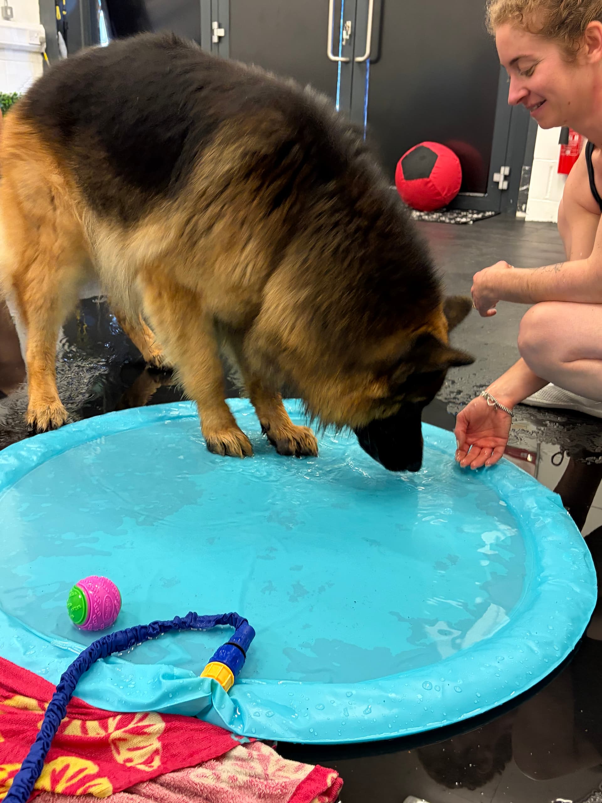 Splash pool