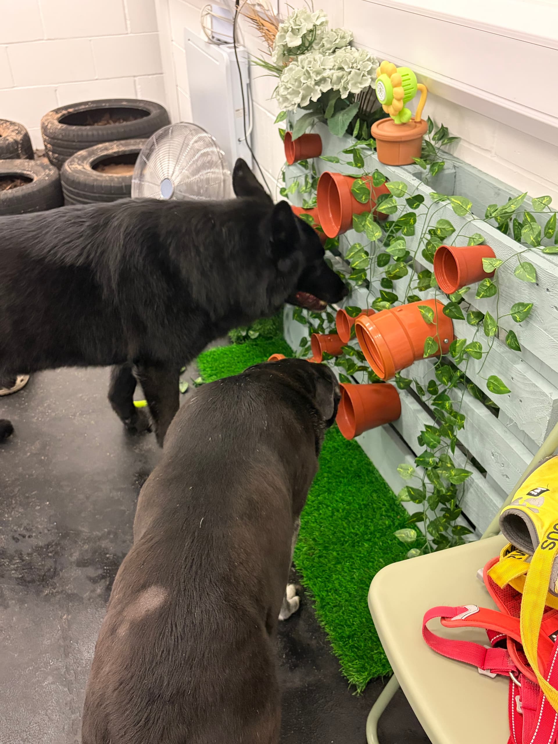 All the sniffs