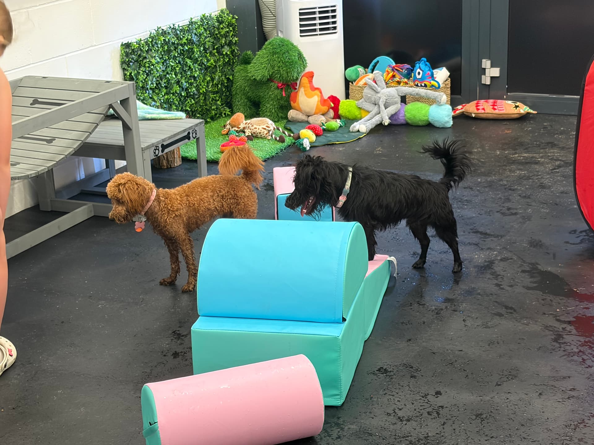 Playtime