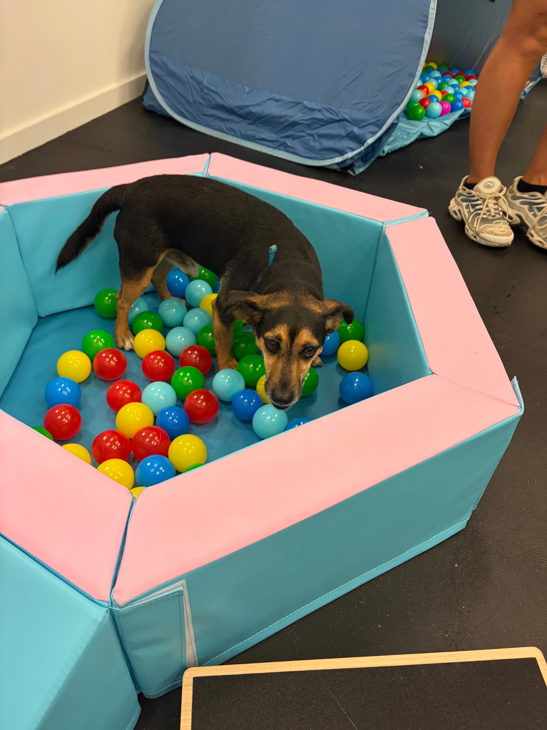 Ball pool