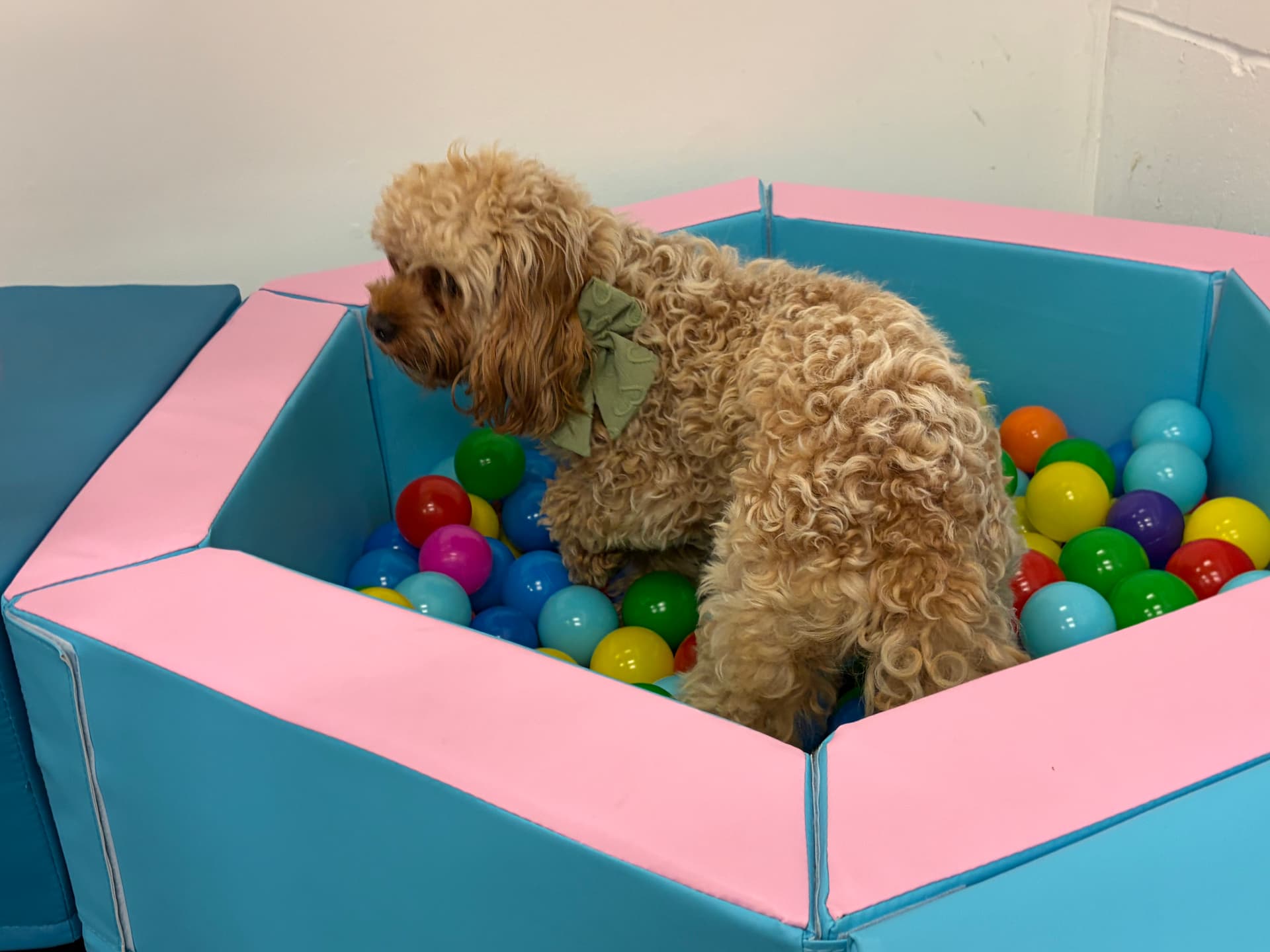 Ball overload