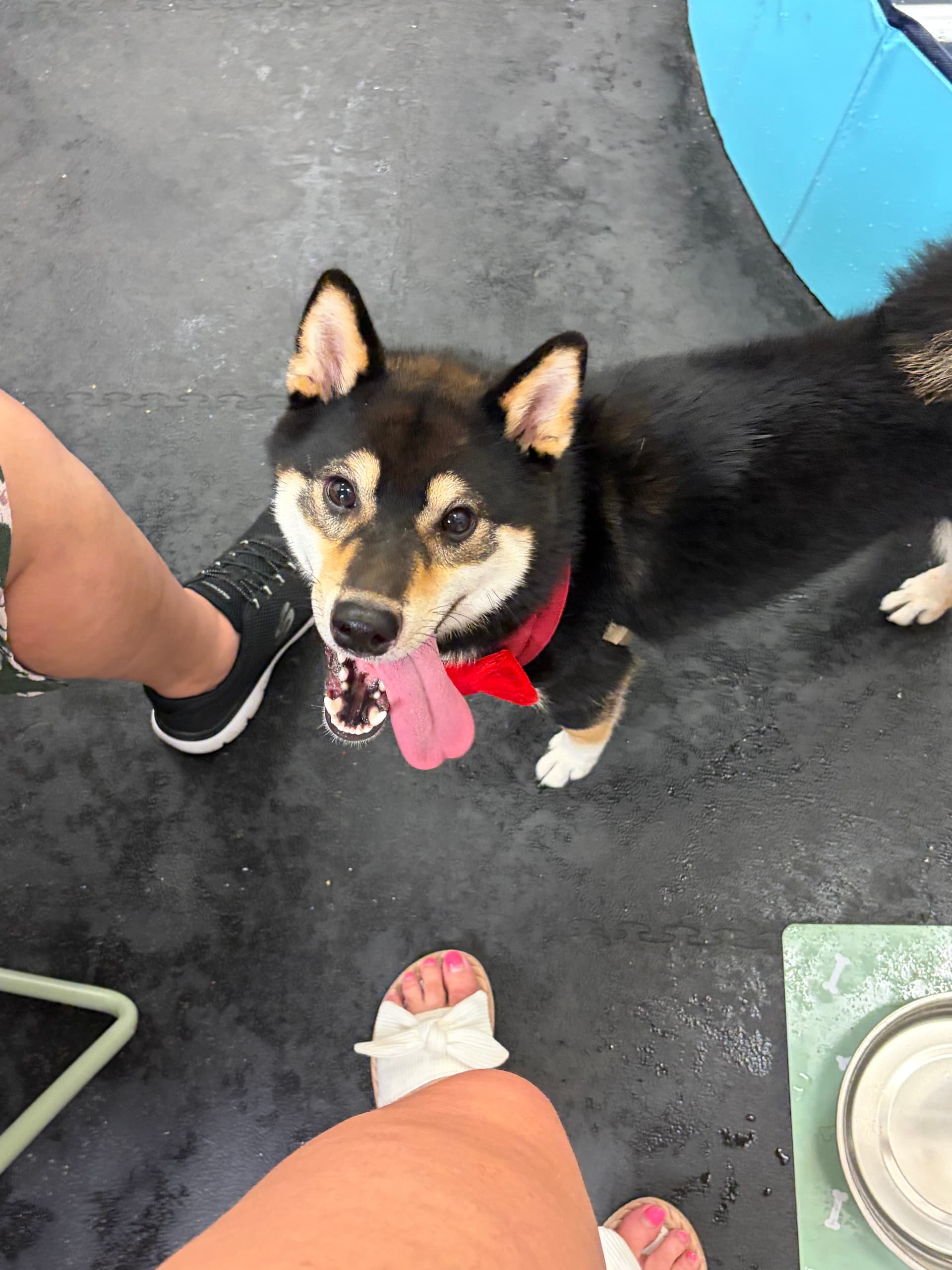 Shibu smiles