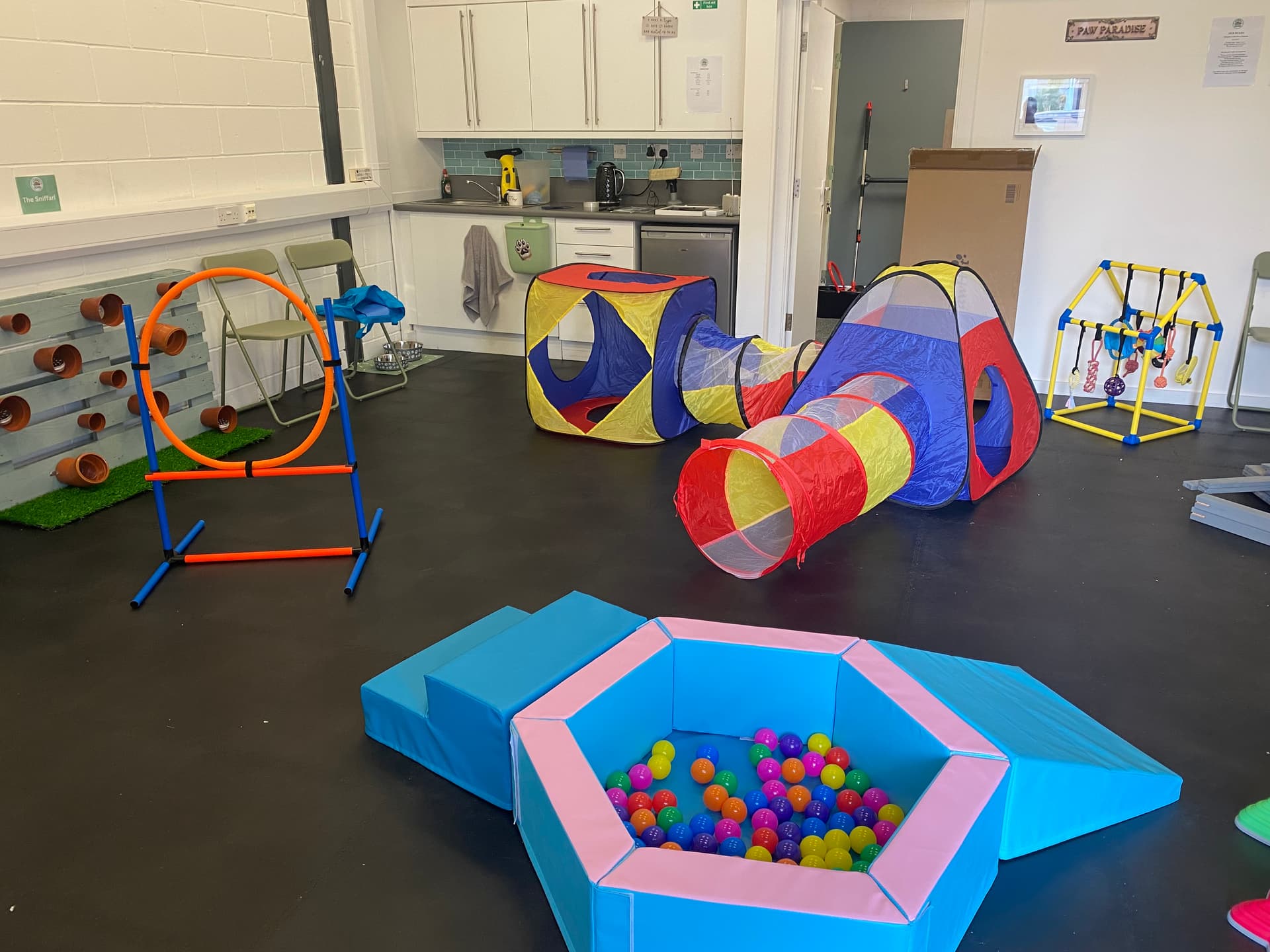 Play zone 4- Zoomies zone