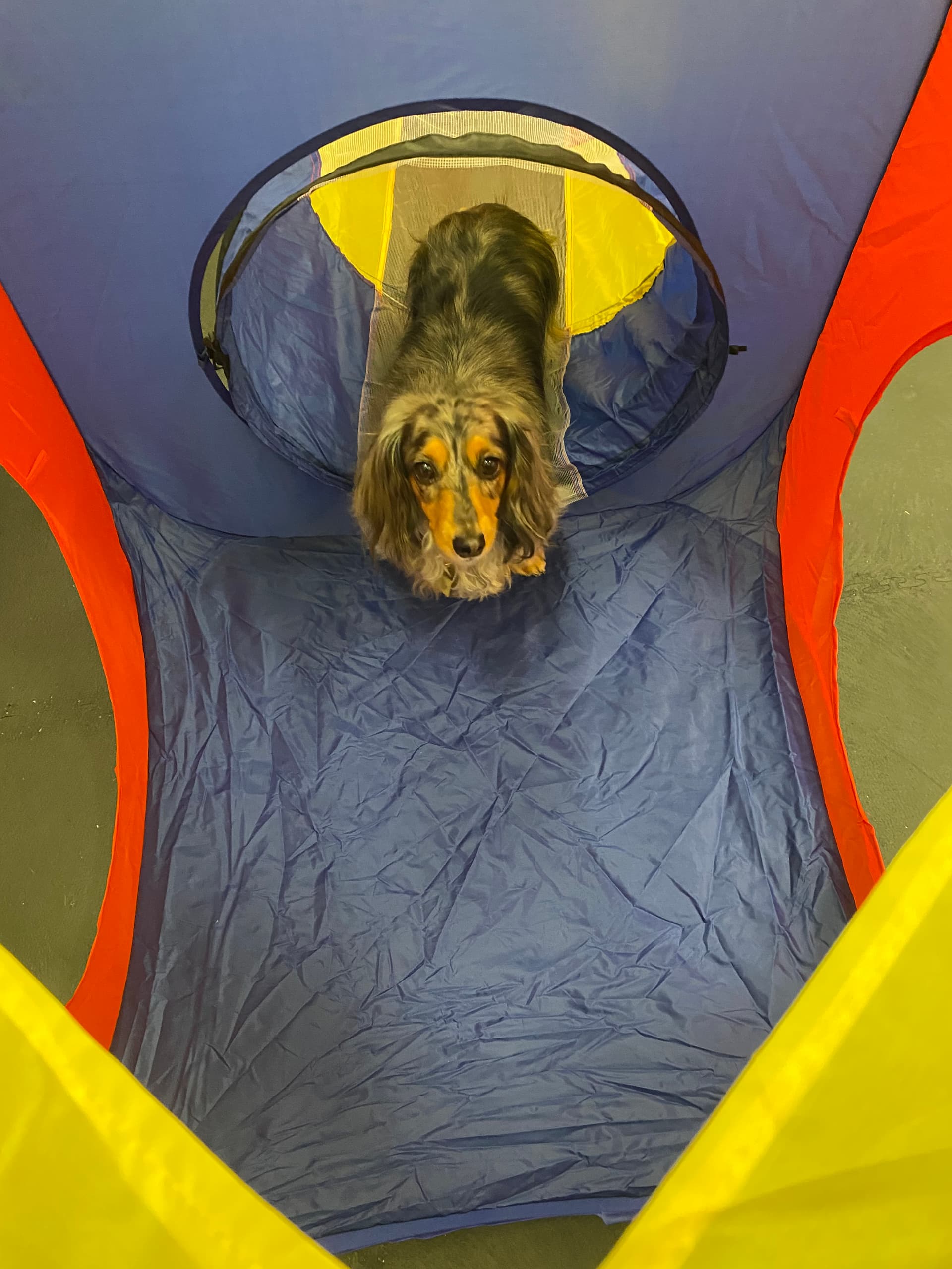 Tunnel fun