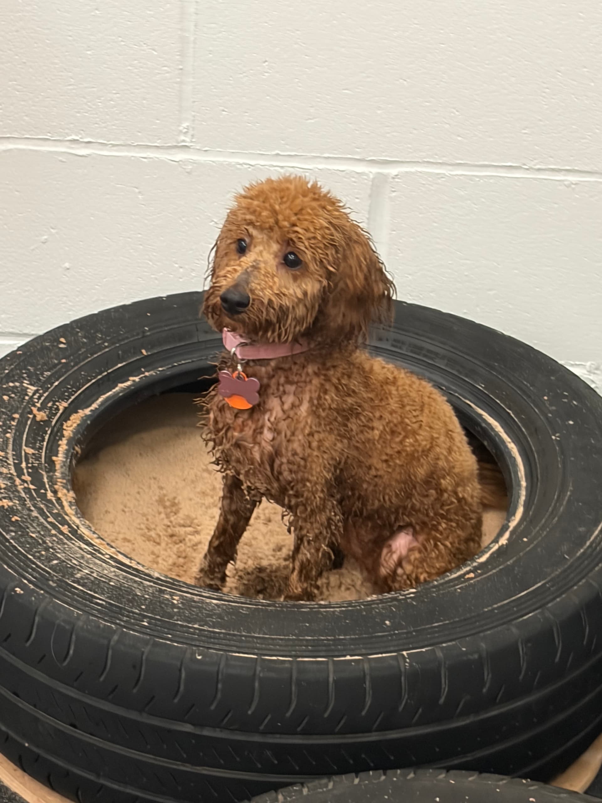 My tyre