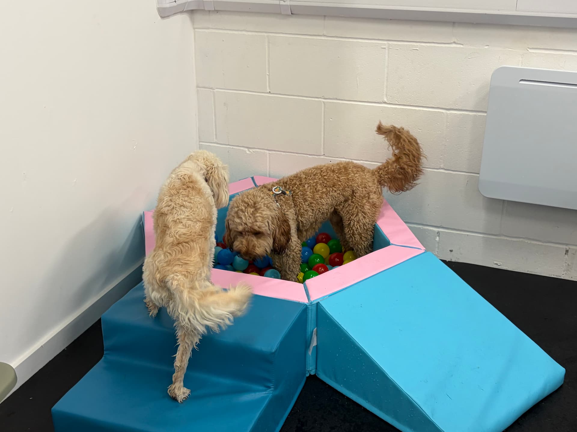 Playing together