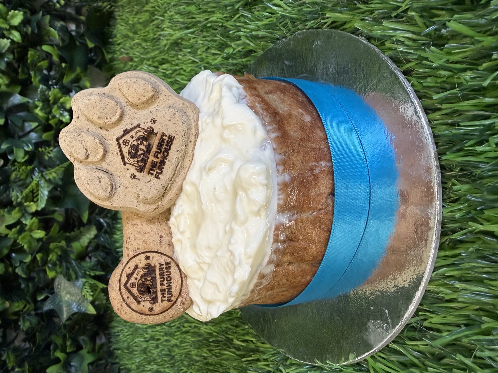 Dog birthday cake decorated with paw and bone shaped treats