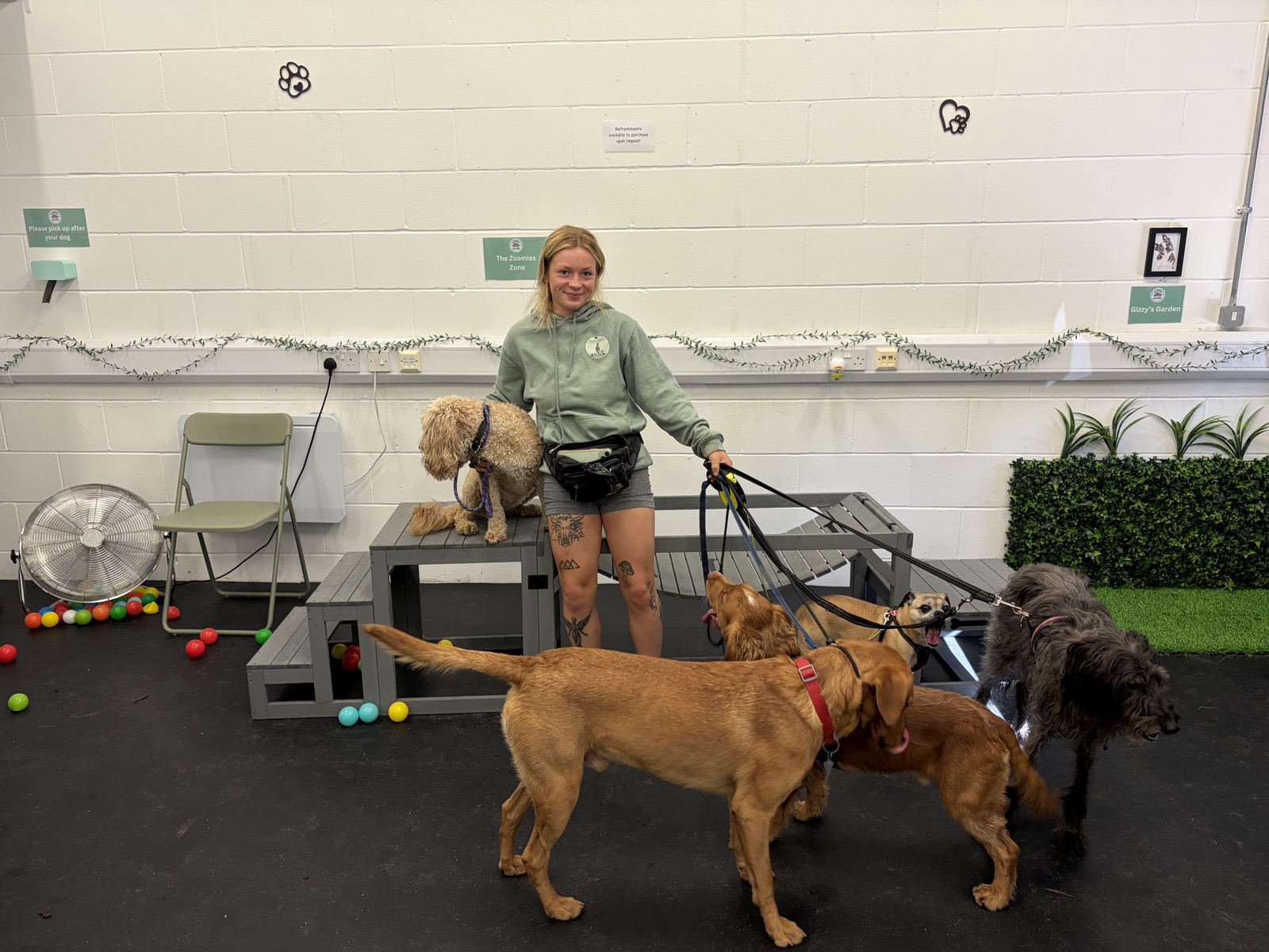 Professional dog walker with a group of dogs from different households at The Furry Funhouse